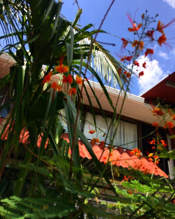 Flamingo Cabinas Hotel ปลายาฟลามิงโก ภายนอก รูปภาพ